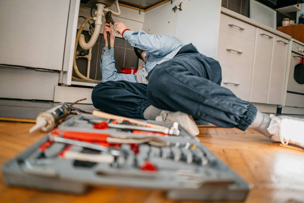 Best Residential Plumbing Services  in Dwight, IL