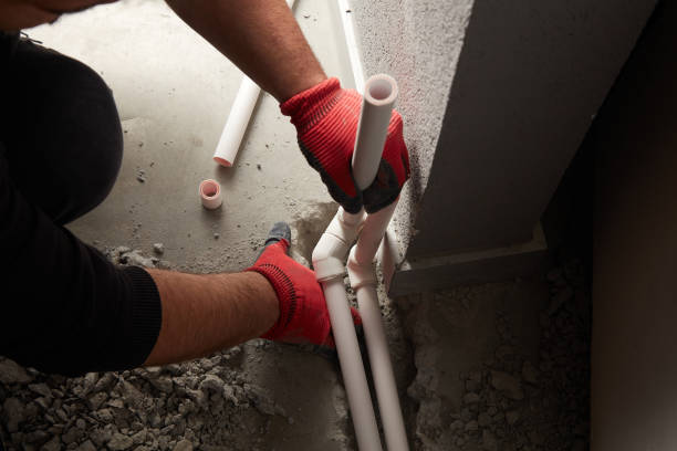 Best Shower Repair Services  in Dwight, IL