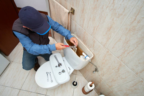 Best Local Plumber Services  in Dwight, IL