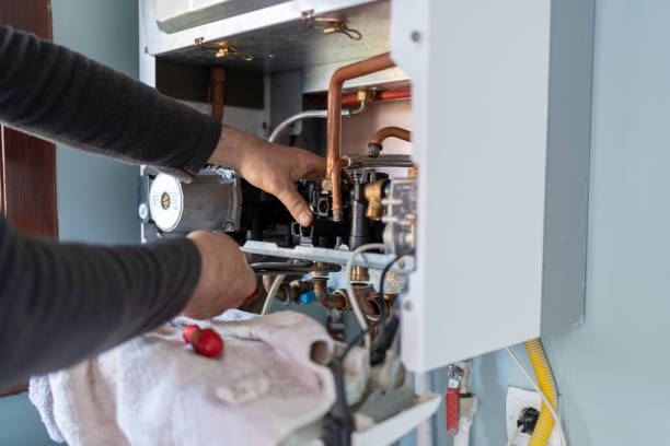 Best Plumbing Inspection Services  in Dwight, IL